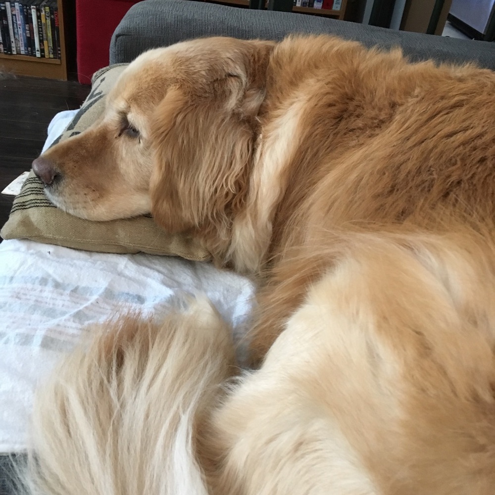 Meet your Posher, Britt